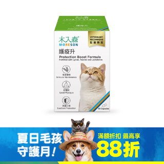木入森 貓咪護疫升 60顆｜貓咪離胺酸